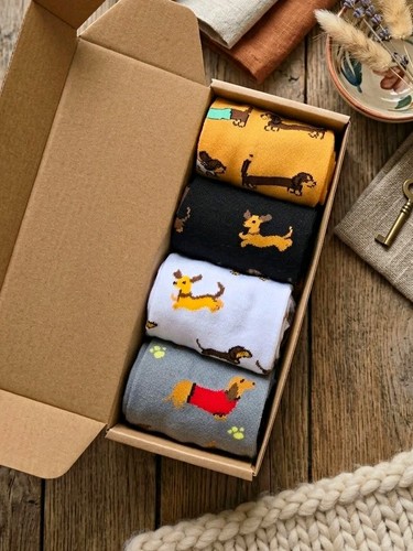 Funky shmunky dachshund dog - dachshund,